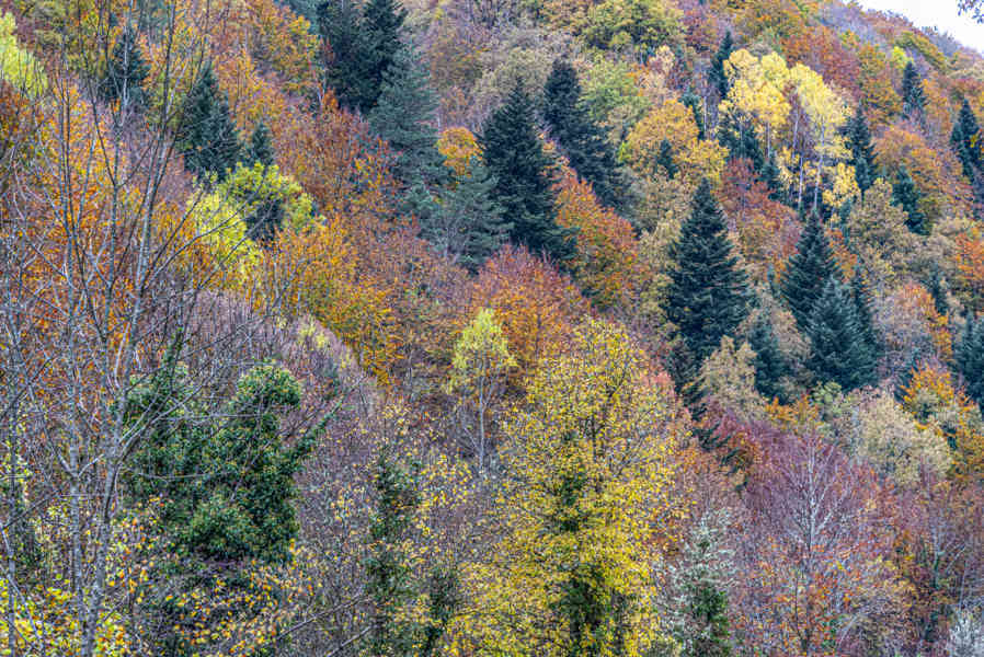 Comunidad Foral de Navarra 152 - valle de Roncal